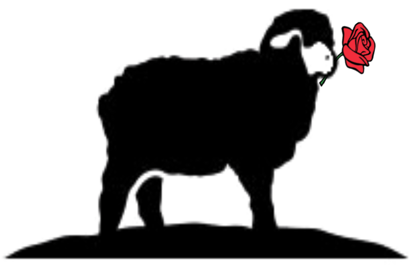 Black Sheep